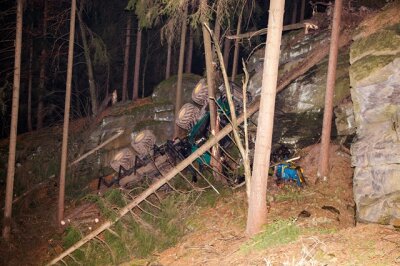 Abgestürztes Forstfahrzeug in Wald bei Albernau gefunden - 