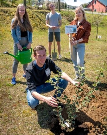 Tony Weißflog, Daniel Uhlig, Eric Söllner und Ronja Kreher (v. l.) haben den Baum gepflanzt. 