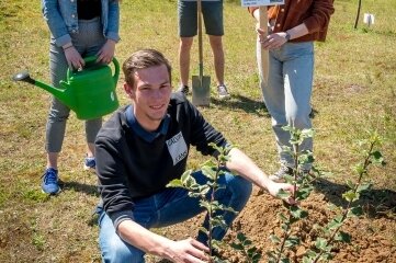Abiturienten pflanzen Baum - Tony Weißflog, Daniel Uhlig, Eric Söllner und Ronja Kreher (v. l.) haben den Baum gepflanzt. 