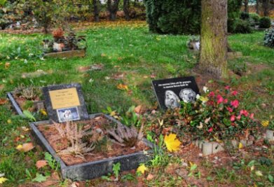 Abschied von Hund und Katz - Auf dem Chemnitzer Tierfriedhof können Tierhalter ihre vierbeinigen Freunden auch beerdigen. 