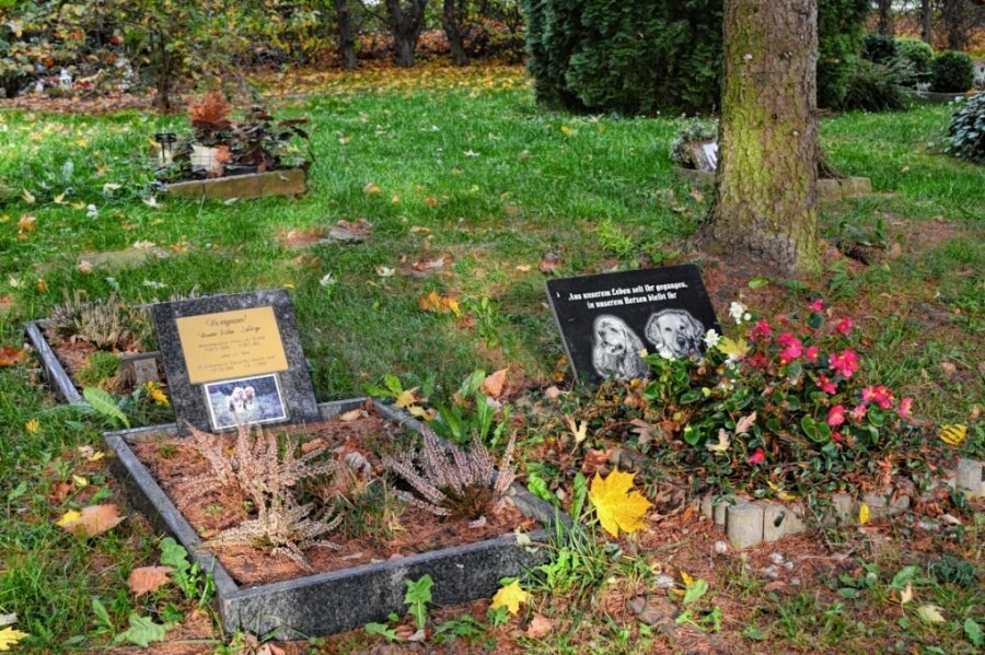 Abschied von Hund und Katz - Auf dem Chemnitzer Tierfriedhof können Tierhalter ihre vierbeinigen Freunden auch beerdigen. 