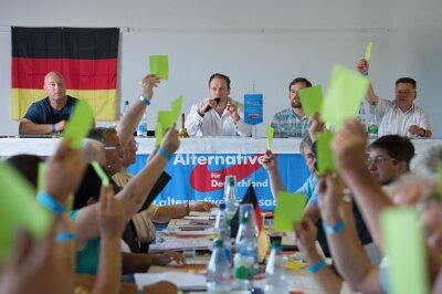 Abwahl von Frauke Petry als AfD-Direktkandidatin gescheitert - Leipzigs AfD-Kreisvorsitzender Siegbert Droese spricht in Dohna zu den Parteimitgliedern, die ihre grünen Stimmkarten hochhalten.
