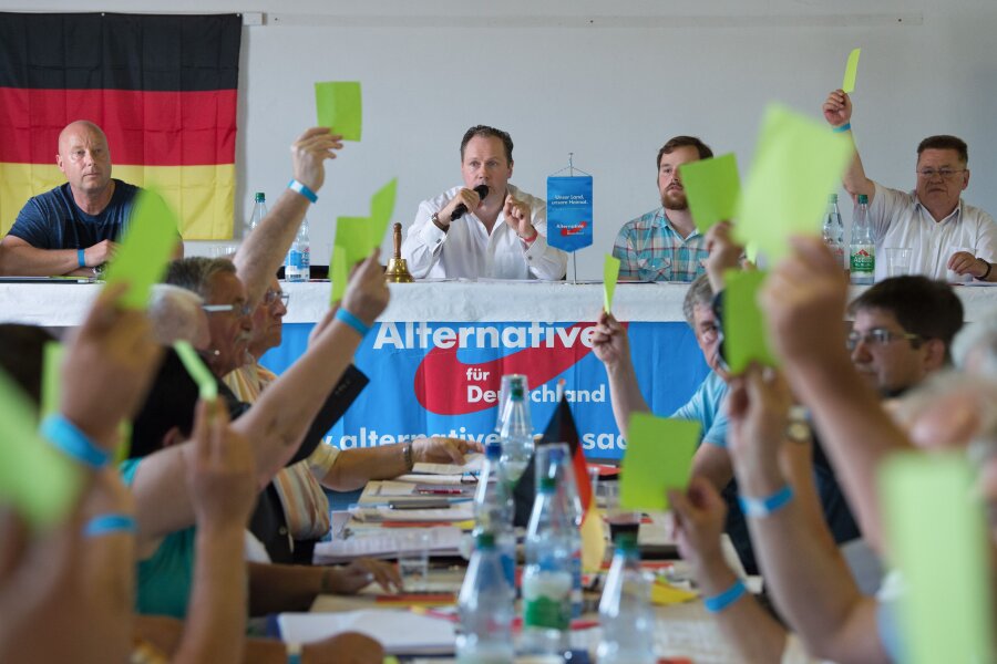 Abwahl von Frauke Petry als AfD-Direktkandidatin gescheitert - Leipzigs AfD-Kreisvorsitzender Siegbert Droese spricht in Dohna zu den Parteimitgliedern, die ihre grünen Stimmkarten hochhalten.