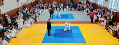 Acht Räucherhäuschen bleiben in Region - Auf drei Matten - zwei in der Sporthalle (Foto) und eine im Trainingsraum - haben sich die jüngsten Judoka zum 23. Turnier um den Räucherkerzenpokal duelliert. 