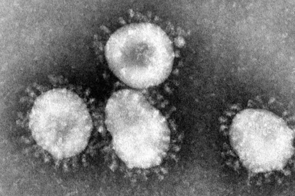 Achtes Todesopfer mit Coronavirus-Infektion im Vogtlandkreis - Im Vogtlandkreis gibt es ein weiteres Todesopfer mit Coronavirus-Infektion.