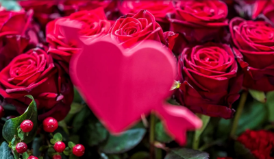 Achtung bei Blumen zum Valentinstag: Importierte Rosen sind oft belastet - Blumen zählen zu den beliebtesten Valentinstagsgeschenken. 