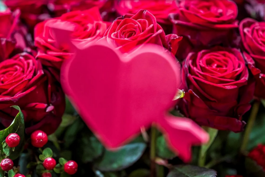 Achtung bei Blumen zum Valentinstag: Importierte Rosen sind oft belastet - Blumen zählen zu den beliebtesten Valentinstagsgeschenken. 
