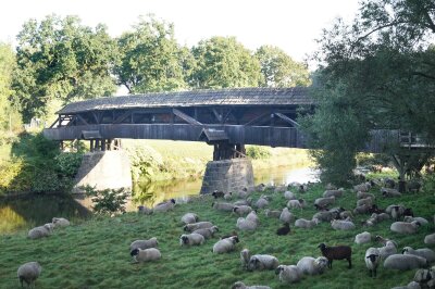 Älteste erhaltene Holzbrücke wird instandgesetzt - Mit ersten vorbereitenden Maßnahmen hat diese Woche die Instandsetzung des Röhrenstegs über die Zwickauer Mulde begonnen. 