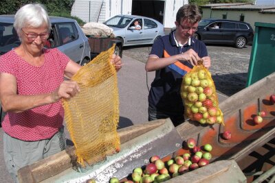 Äpfel wandern in Methau übers Förderband - Gisela Kramer brachte säckeweise Äpfel aus ihrem Garten zum Mosten. Keltereimitarbeiter René Flammiger hilft beim Entladen aufs Band.