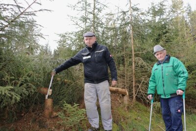 Ärger bei privaten Waldbesitzern in Kornbach: Sachsenforst lässt Wald unaufgeräumt zurück - Lutz Bauer (links) und Klaus Bauer zeigen die Fichtenstämme, die nebst Gestrüpp stehen geblieben sind.