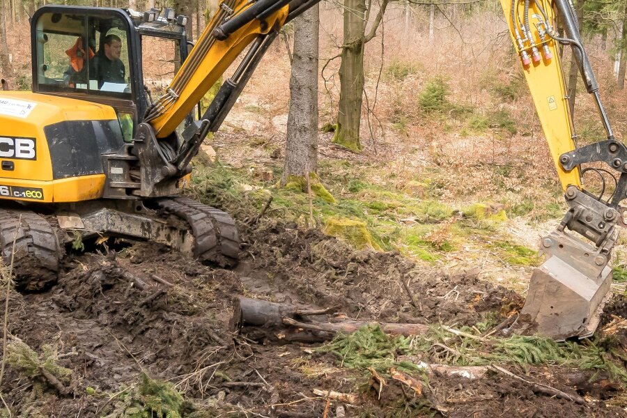 Ärger über unbegehbare Waldwege im Erzgebirge: Was der Sachsenforst dagegen unternimmt - Lars Reuter glättet nach dem Holzeinschlag im Forstrevier Ansprung eine Sammelgasse.