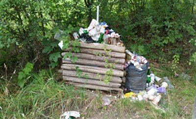 Ärger um wilden Müll im Rümpfwald - Seit Monaten türmt sich der wilde im Rümpfwald. Foto: Steffen Heber