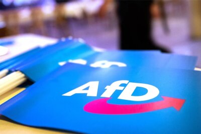 AfD-Beben in Plauen: Fast alle bisherigen Stadträte nicht wieder nominiert - Fähnchen mit dem Logo der AfD: Die Partei wird bei der Stadtratswahl in Plauen bis auf eine Ausnahme mit neuen Kandidatinnen und Kandidaten antreten.
