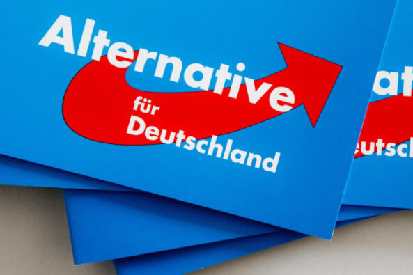 AfD-Bundesparteitag soll im April in Dresden stattfinden - 