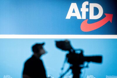 AfD hält an Europa-Kandidaten mit fraglichen Lebensläufen fest - Vier Tage lang wählte die AfD bei ihrem Treffen in Magdeburg ihre Kandidaten für die Europawahl im kommenden Jahr. Bei zwei von ihnen gibt es jetzt Vorwürfe, sie hätten ihre Lebensläufe geschönt. 