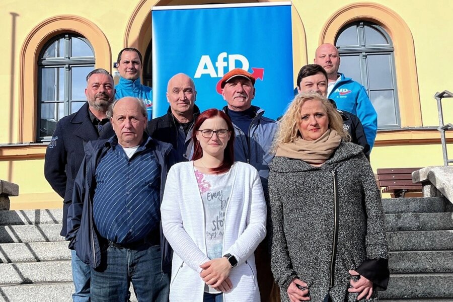 AfD stellt neun Bewerber für den Reichenbacher Stadtrat - Die Kandidaten der AfD auf der Rathaustreppe in Reichenbach.