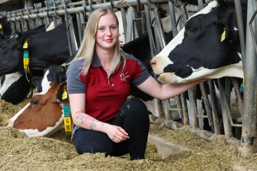 Agrargenossenschaft will an Milchproduktion festhalten - Tierwirtin Victoria Voigt an ihrem Arbeitsplatz im Milchviehstall Langenchursdorf. Die Kühe werden mehrmals am Tag gemolken. 