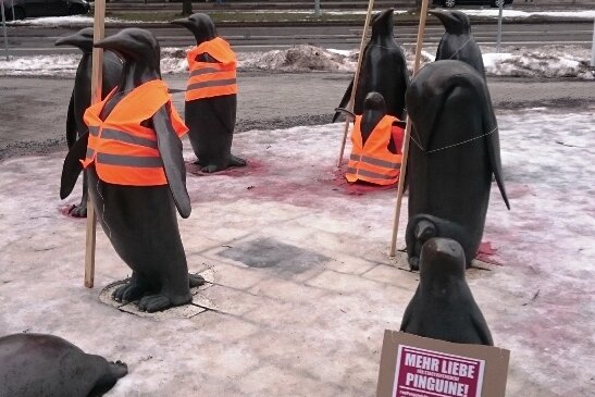 Aktion rund um die Chemnitzer Pinguine sorgt für Aufsehen - 