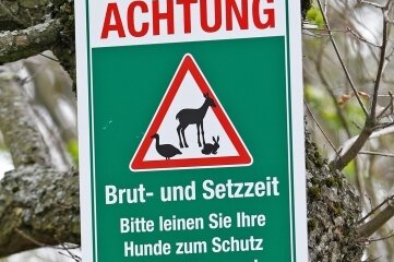 Aktion zum Schutz von Tiernachwuchs - Mit solchen Hinweisschildern wenden sich Jäger an Waldbesucher mit Hunden. 