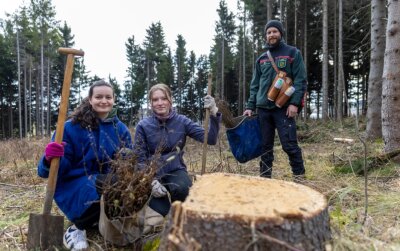 Aktivisten pflanzen im Fichtelbergrevier - 