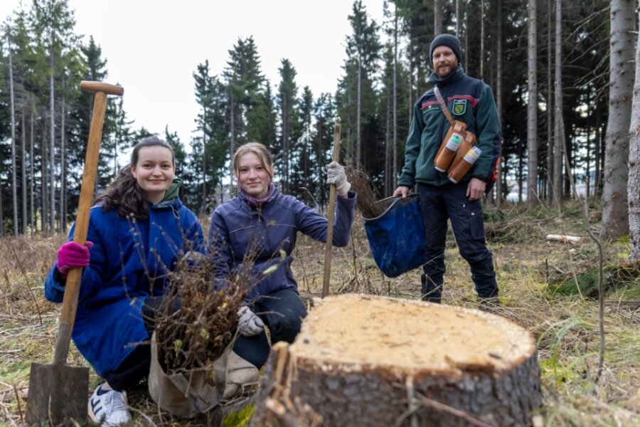 Aktivisten pflanzen im Fichtelbergrevier - 