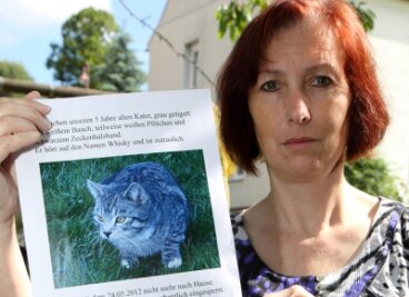 Kirsten Kielmann aus Bernsbach sucht auch mit Flugblättern ihre Katze namens Whisky.