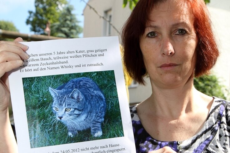 Kirsten Kielmann aus Bernsbach sucht auch mit Flugblättern ihre Katze namens Whisky.