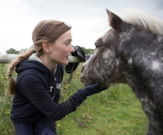 All das Glück dieser Erde - Wer im "Frieslandstern" Urlaub macht, möchte seine Zeit mit Friesen, Haflingern und Ponys verbringen.