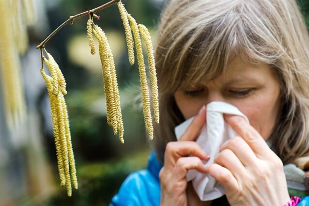 Allergien und Pollen - 