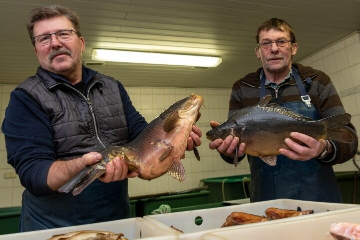Im Fischhaus von Volker Fuhrmann (l.) und Gunter Schlegel in Schweikershain sind zu Silvester natürlich die Karpfen besonders gefragt. Verkauft wird der Schmaus auch an anderen Orten in der Region. 