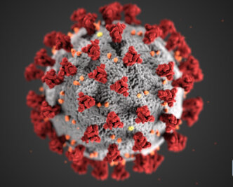 Alles, was Sie jetzt über das Coronavirus wissen müssen - Das Coronavirus in einer Grafik des Centers for Disease Control and Prevention (CDC).