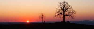 Alltäglicher Zauber mit Gänsehauteffekt - Das Vogtland ist reich an schönen Panoramen - und das zu jeder Tageszeit: Sonnenaufgang an der alten und der neuen Reuther Linde. 