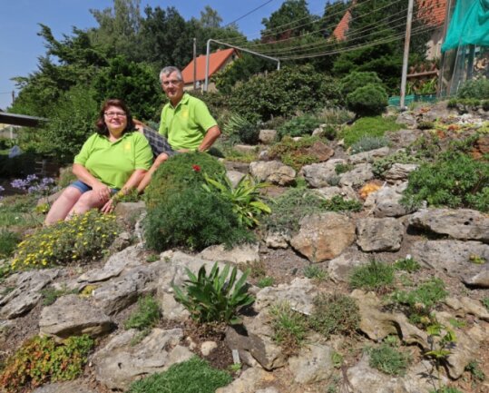 Susanne und Jürgen Lohr in ihrem Steingarten in Hohenstein-Ernstthal, wo sie mehr als 800 verschiedene Pflanzenarten pflegen. 