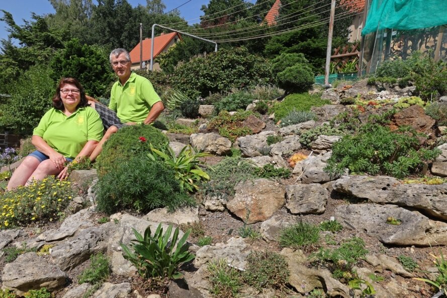 Susanne und Jürgen Lohr in ihrem Steingarten in Hohenstein-Ernstthal, wo sie mehr als 800 verschiedene Pflanzenarten pflegen. 