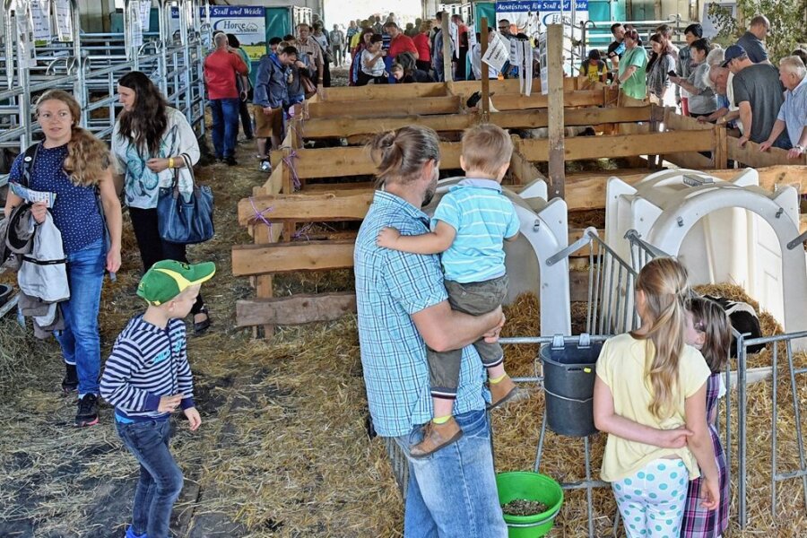 Altmittweida erhält sein Erntedankfest zurück - 2019 herrschte auch bei den Tierschauen zum Erntedankfest großer Andrang. Das Ausfallen der Veranstaltung wurde bedauert.