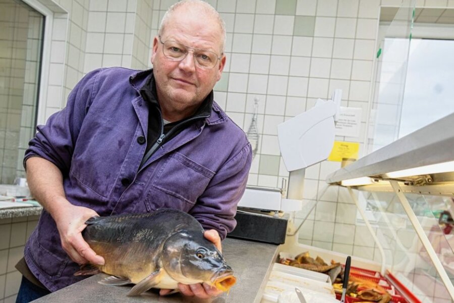 Am Jahresende kommt Karpfen auf den Tisch - Bernd Leucht, Chef der Fischereigenossenschaft Plauen.