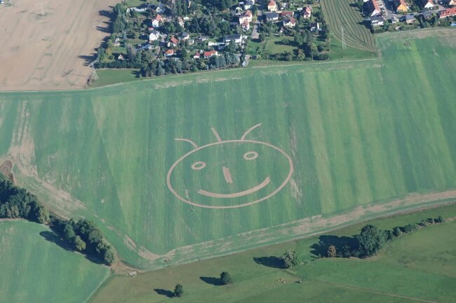 Am Stadtrand von Zwickau: Wer hat dieses Smiley ins Feld gemalt? - Einfach mal gute Laune zeigen: Smiley in einem Feld bei Zwickau-Rottmannsdorf.
