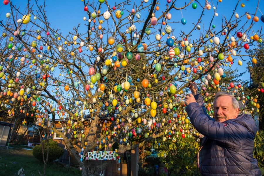 An diesem Apfelbaum im hängen 2020 Ostereier - Zeichen der Hoffnung: Jürgen Langner hat 2020 Ostereier im Apfelbaum platziert.