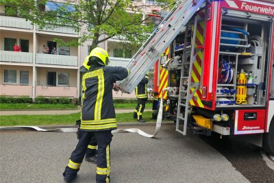 Angebranntes Essen sorgt in Zwönitz für einen Feuerwehreinsatz - In der Wohnung trafen die Feuerwehrleute einen Mann und einen Hund an.