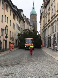 Annaberger Weihnachtsfichte wird aufgestellt - Der Weihnachtsbaum wird die Große Kirchgasse hinunter transportiert.
