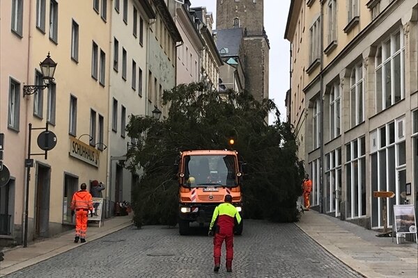 Annaberger Weihnachtsfichte wird aufgestellt - Der Weihnachtsbaum wird die Große Kirchgasse hinunter transportiert.