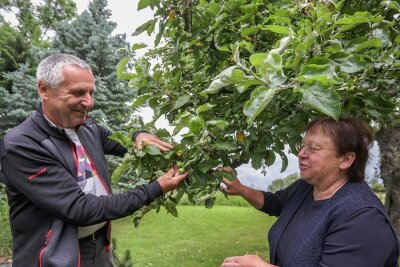 Ansturm auf Gärten in Burgstädt - Annelie und Rainer Goldammer haben ihren Obst- und Gemüsegarten im Burgstädter Ortsteil Herrenhaide vorgestellt, wo unter anderem ein 80 Jahre alter Apfelbaum der Sorte Renette steht. 