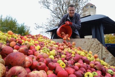 Apfelsaison geht bei Rebesgrüner Annahmestelle ins Finale - Laut Juniorchef Dominik Ackermann wurden 50.000 Liter klarer und trüber Apfeldirektsaft gepresst. 