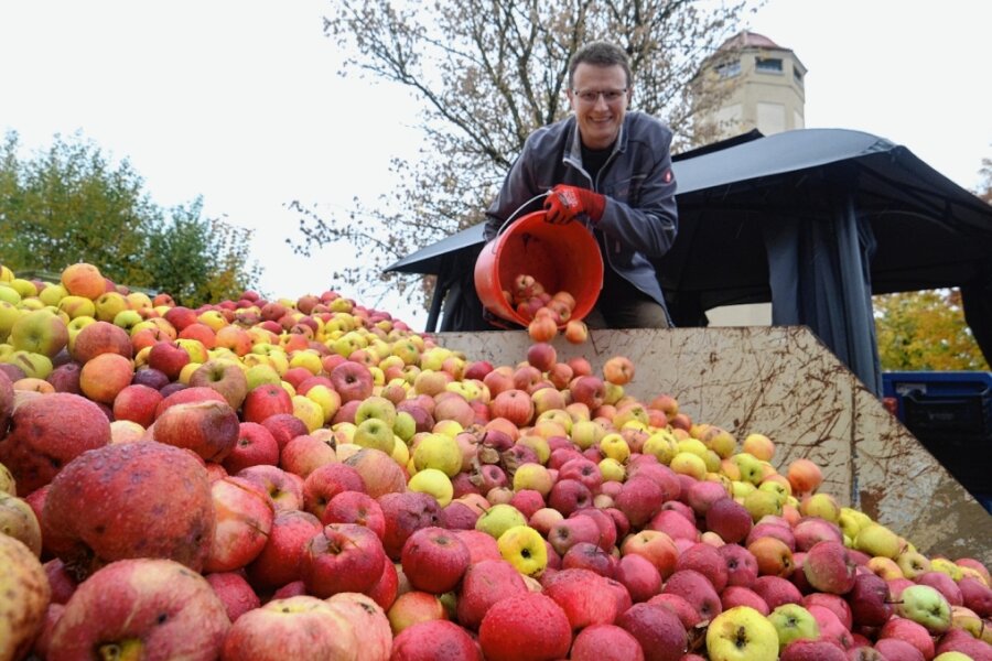 Apfelsaison geht ins Finale - Mit bisher 70 Tonnen abgegebenen Äpfeln gehe ein mittelmäßiges Obstjahr zu Ende, sagt Juniorchef Dominik Ackermann. 50.000 Liter klarer und trüber Apfeldirektsaft werden in dieser Saison gepresst.