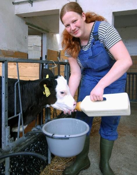 Arbeitsvertrag für die beste Tierwirtin - 
              <p class="artikelinhalt">Julia Urbansky hat seit zwei Wochen ihren Arbeitsvertrag. In drei Schichten arbeitet sie in der Milchviehanlage Remse der Agrargenossenschaft Schönberg. Diese Woche betreut sie die Kälber.</p>
            