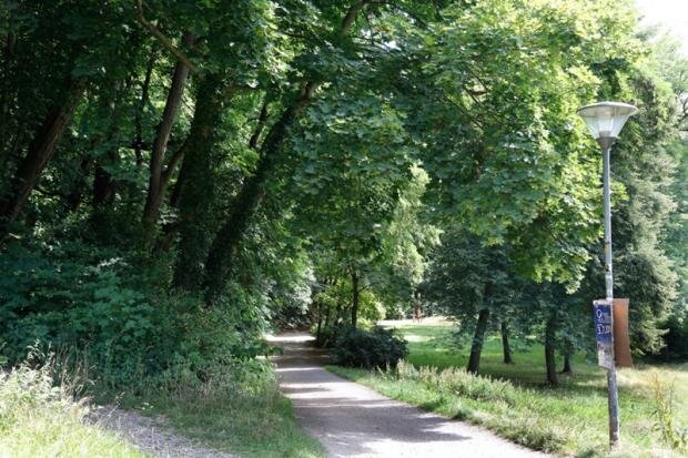 Attacke auf Joggerin im Chemnitzer Stadtpark: 31-Jähriger zu Haftstrafe verurteilt - Tatort Stadtpark: An dieser Stelle wurde die 21-jährige Joggerin Mitte Juli überfallen.