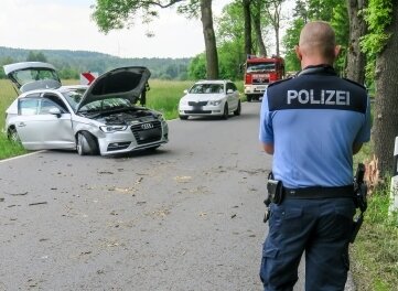 Audi kollidiert mit einem Baum - Der Audi kam von der Straße ab und stieß gegen einen Baum. 