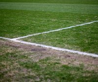 Aue atmet auf - Grünes Licht für das Derby gegen Jena - Das Spiel zwischen Aue und Jena kann nach einem "Angriff" auf den Rasen stattfinden