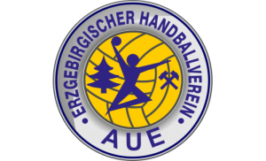 Aue unterliegt bei Dessau-Roßlauer HV - 