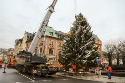 Aue: Weihnachtsbaum aus Carlsfeld steht am Altmarkt - 